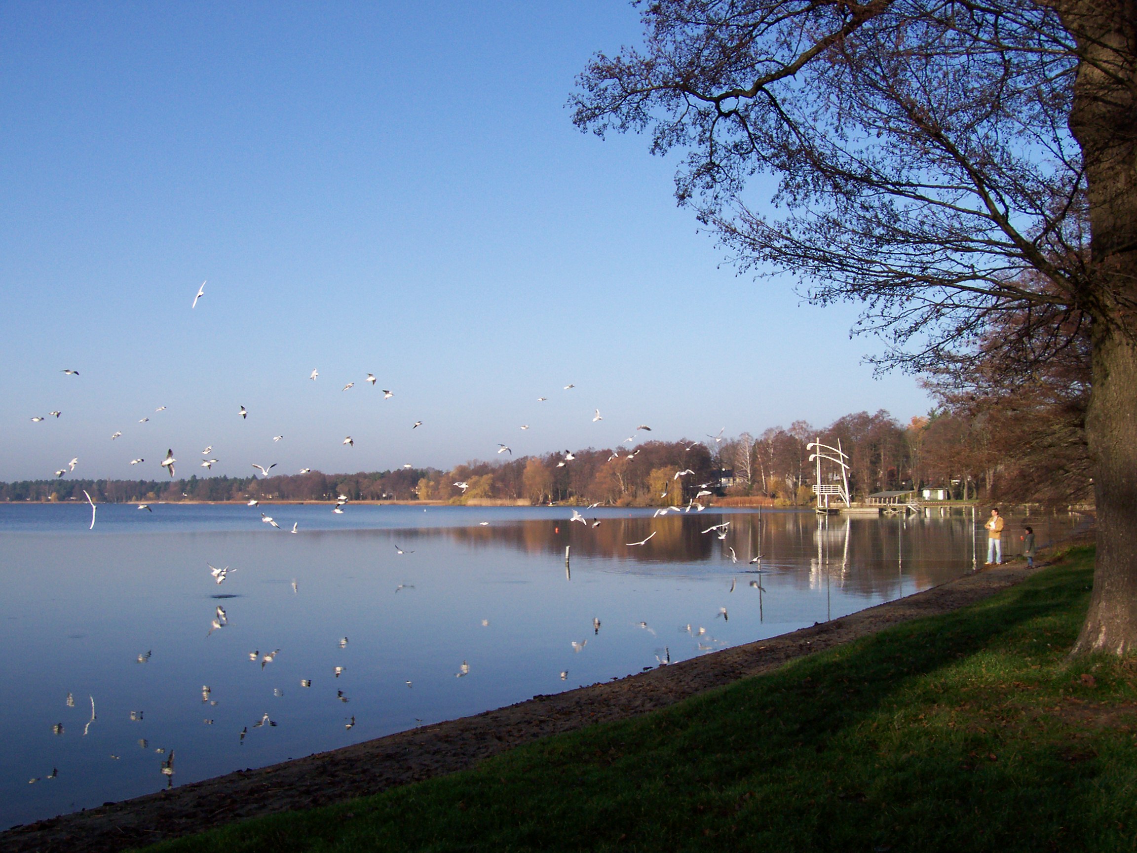 Strandbad Wandlitzsee